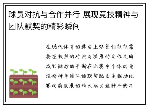 球员对抗与合作并行 展现竞技精神与团队默契的精彩瞬间