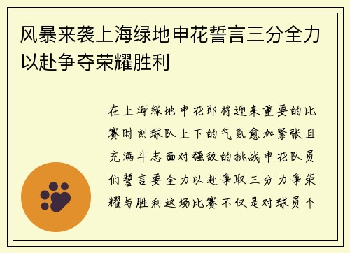风暴来袭上海绿地申花誓言三分全力以赴争夺荣耀胜利