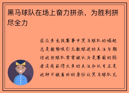 黑马球队在场上奋力拼杀，为胜利拼尽全力